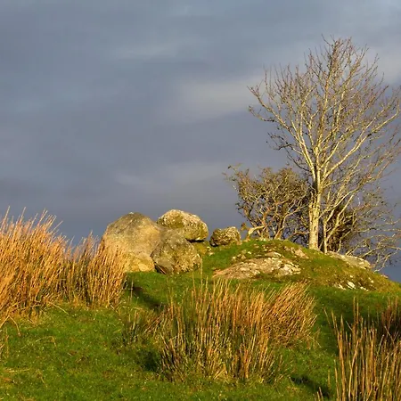 Connemara Escape Nocleg ze śniadaniem *